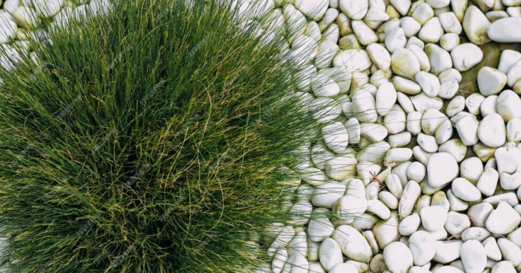 15 White Rock Landscaping Ideas to Enhance Your Outdoors