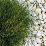 15 White Rock Landscaping Ideas to Enhance Your Outdoors