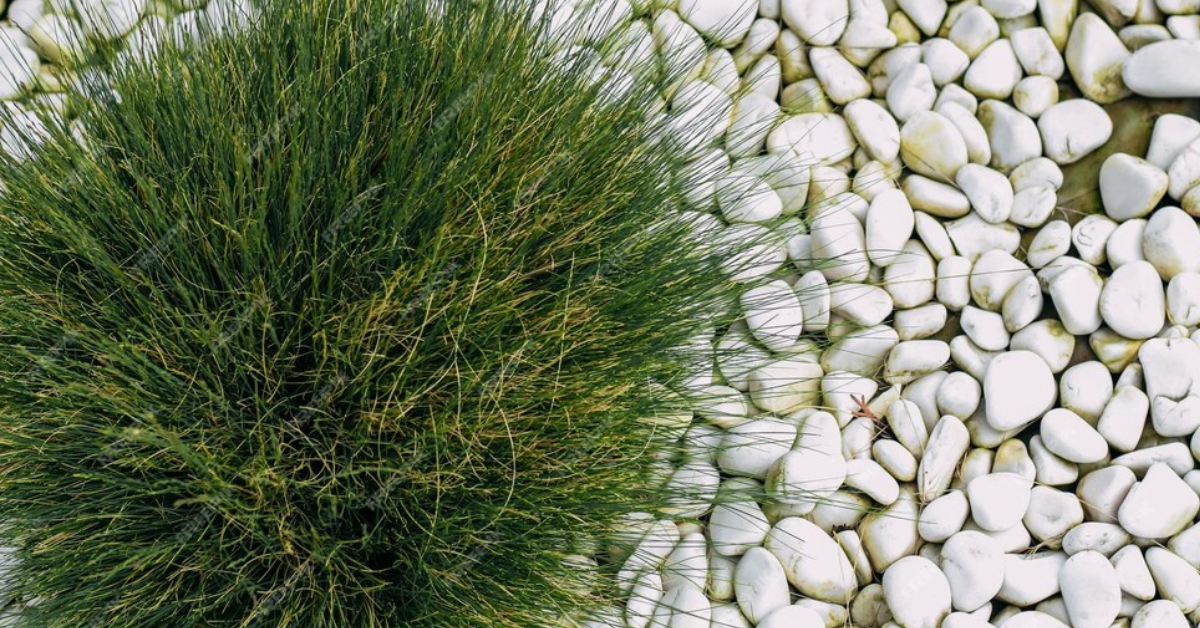 Read more about the article 15 White Rock Landscaping Ideas to Enhance Your Outdoors