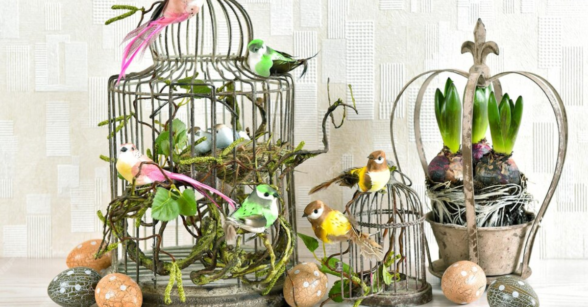 You are currently viewing 15 Handmade Birdcage Ideas to Beautify Your Space