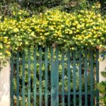 15 Creative Garden Gate Ideas for a Charming Outdoor Space