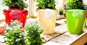 Read more about the article 15 Brilliant Low Budget Garden Containers and Pot Ideas