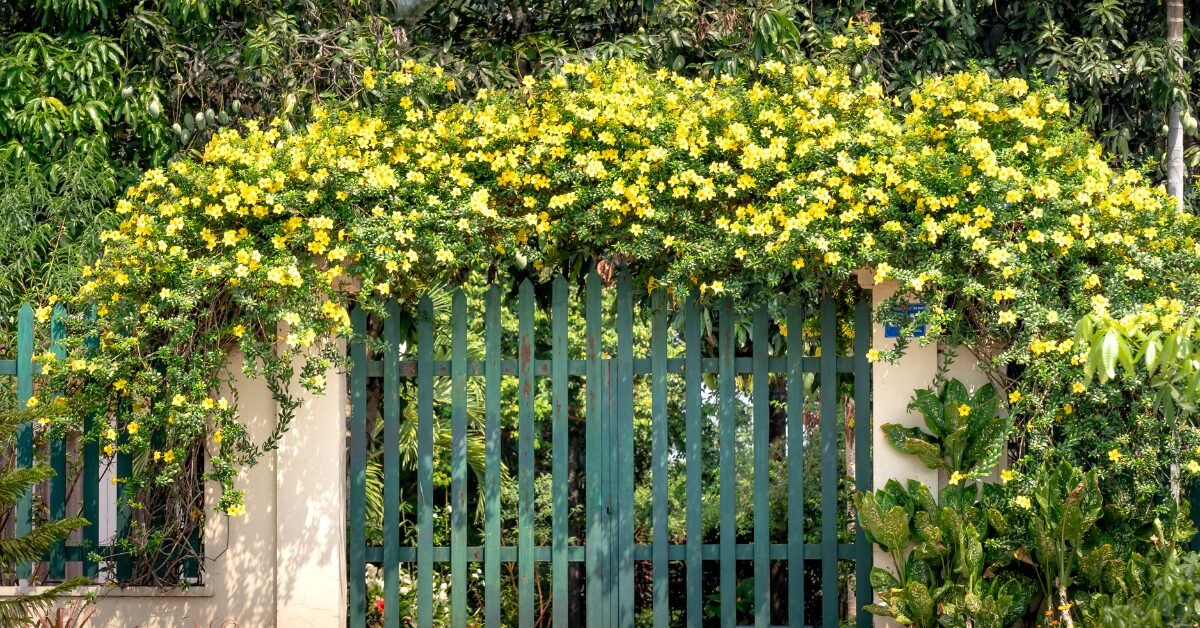 You are currently viewing 15 Creative Garden Gate Ideas for a Charming Outdoor Space