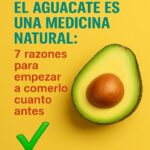 El Aguacate es una Medicina Natural: 7 Razones para Empezar a Comerlo Cuanto Antes