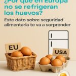 ¿Por Qué los Huevos No se Refrigeran en Europa pero Sí en Estados Unidos?