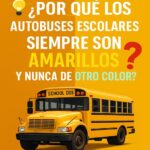 ¿Por Qué los Autobuses Escolares Siempre Son Amarillos y Nunca de Otro Color?