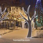 12 Outdoor Christmas Lights Styles for Trees You’ll Want to Try This Year