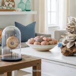 12 Unique Shell Display Styles for a Fresh Coastal Look