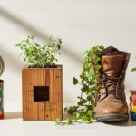 5 Upcycled Household Items You Can Turn Into Planters