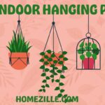 11 Best Indoor Hanging Plants Perfect for Every Home