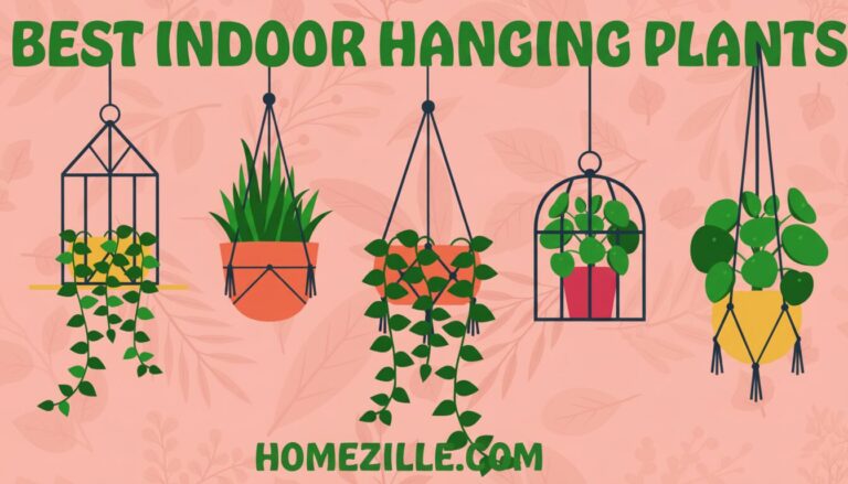 11 Best Indoor Hanging Plants Perfect for Every Home