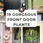19 Gorgeous Front Door Plants For A Dreamy Entry