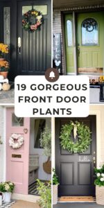 Read more about the article 19 Gorgeous Front Door Plants For A Dreamy Entry