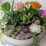 Discover Your Birth Month Succulents – 12 Special Varieties for Each Month of the Year, Plus Expert Growing Tips