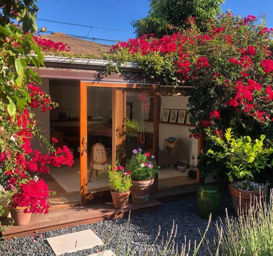 Bougainvillea Is The Main Character