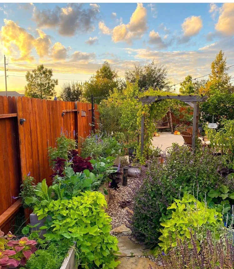 Veggie Beds In Full Formation
