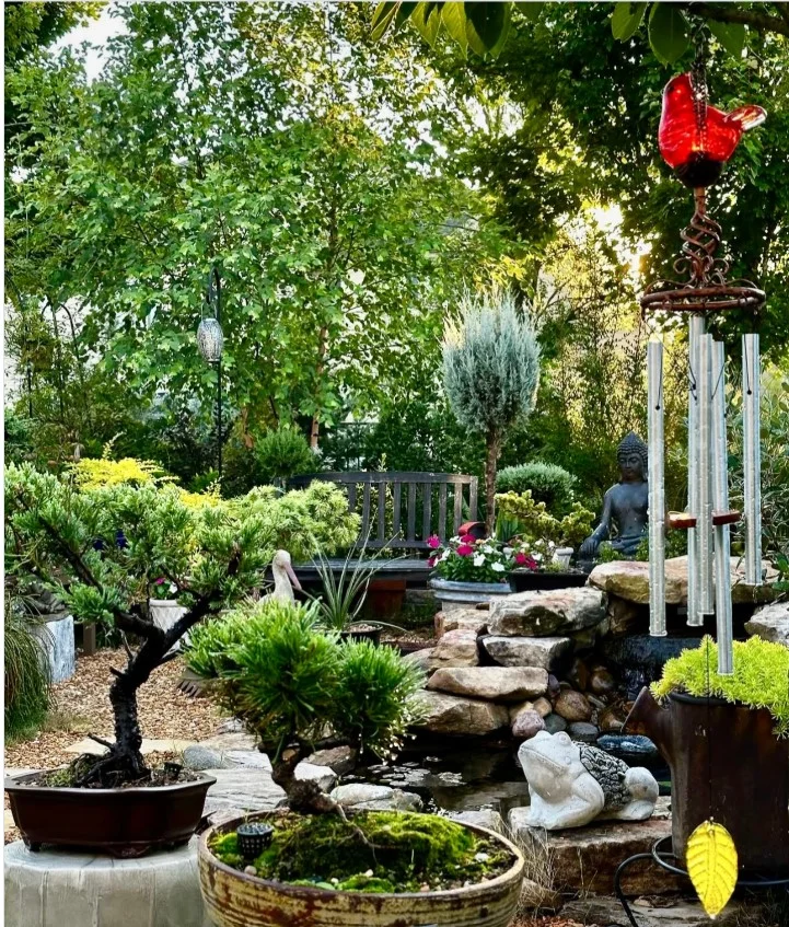 Zen, Frogs, And A Wind Chime