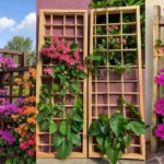 20 Stunning Bougainvillea Trellis Ideas to Transform Your Garden