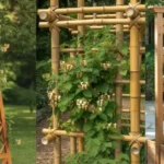 20 Best Honeysuckle Trellis Ideas for Stunning Vertical Gardens
