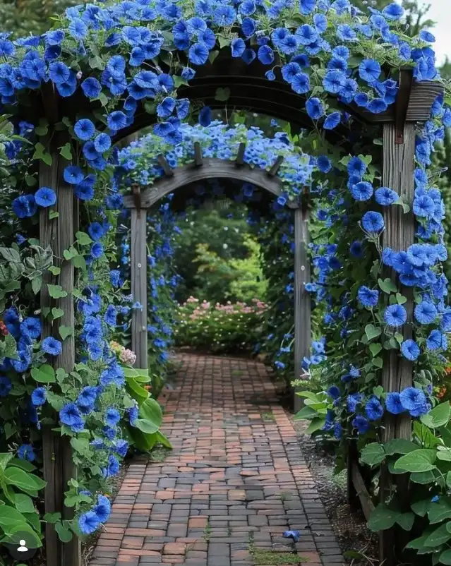 rustic garden ideas wooden trellis with climbing roses