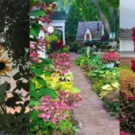 What Not to Plant With Bee Balm for Stronger Blooms and a Healthier Garden