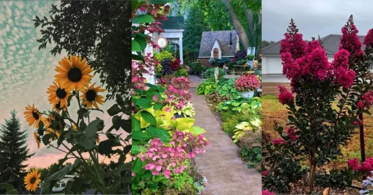 What Not to Plant With Bee Balm for Stronger Blooms and a Healthier Garden