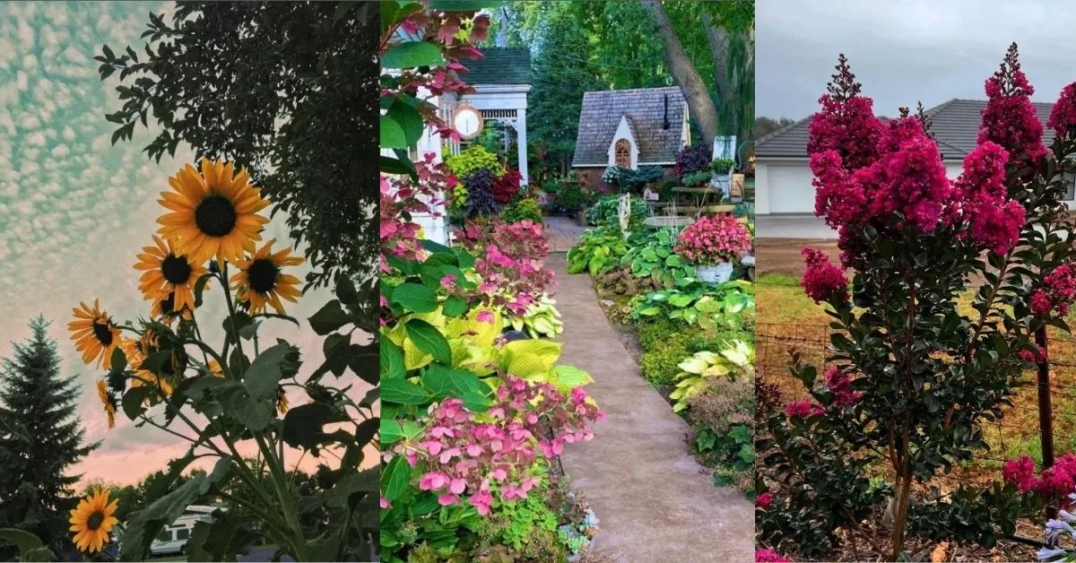 You are currently viewing What Not to Plant With Bee Balm for Stronger Blooms and a Healthier Garden