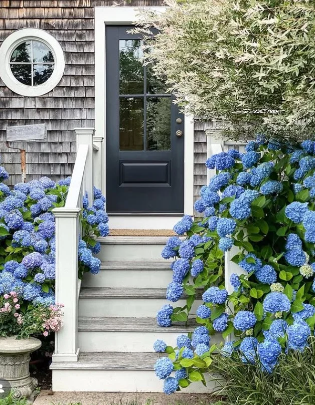 small side porch with bold front door color