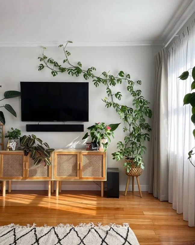 plant decor wall mounted tv wall ideas fresh living room