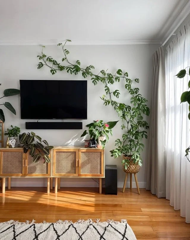 plant decor master bedroom tv wall ideas fresh natural look