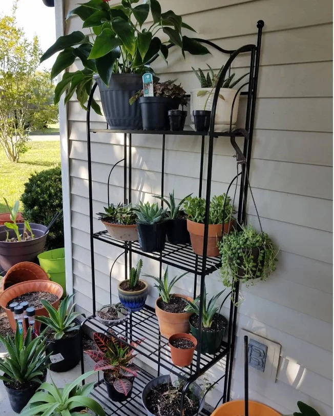 townhouse front porch with vertical plant stand saving space