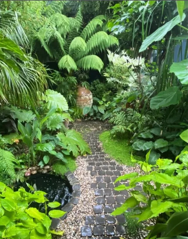 what not to plant with bee balm green ferns growing in shade bed