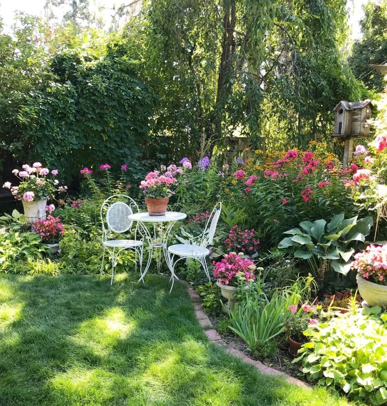 what not to plant with bee balm purple garden phlox flowers nearby