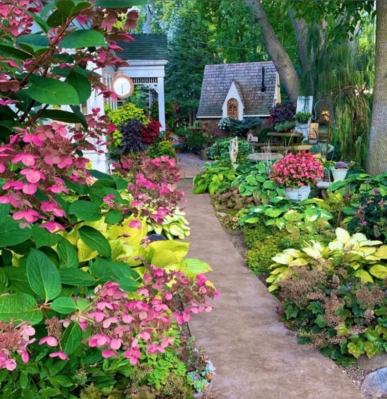 what not to plant with bee balm hosta plants in shady garden area