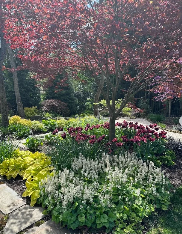 what not to plant with bee balm small groundcover plants in border