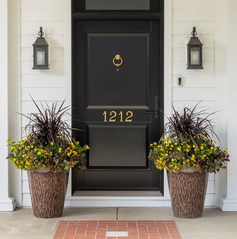 bold black front door with stylish outdoor entrance decor