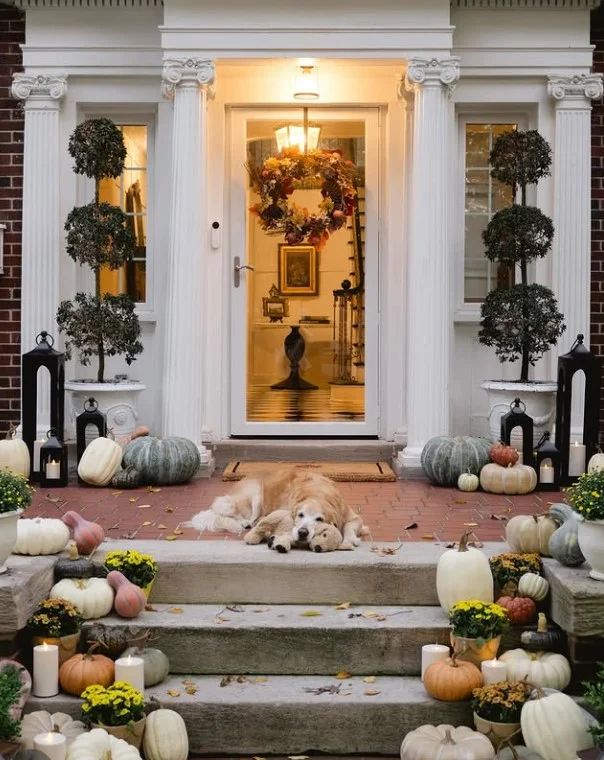 front door entrance with seasonal porch decorations