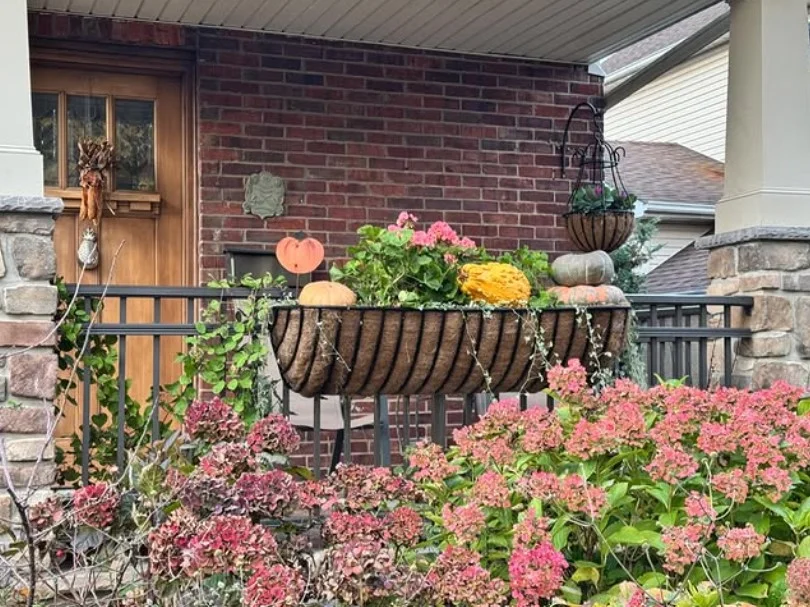 front porch with wall mounted planters and greenery