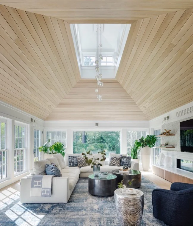 indoor plants decorating bright family room addition