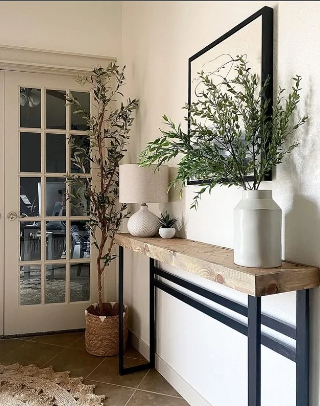 inside porch with one large indoor plant modern entry design