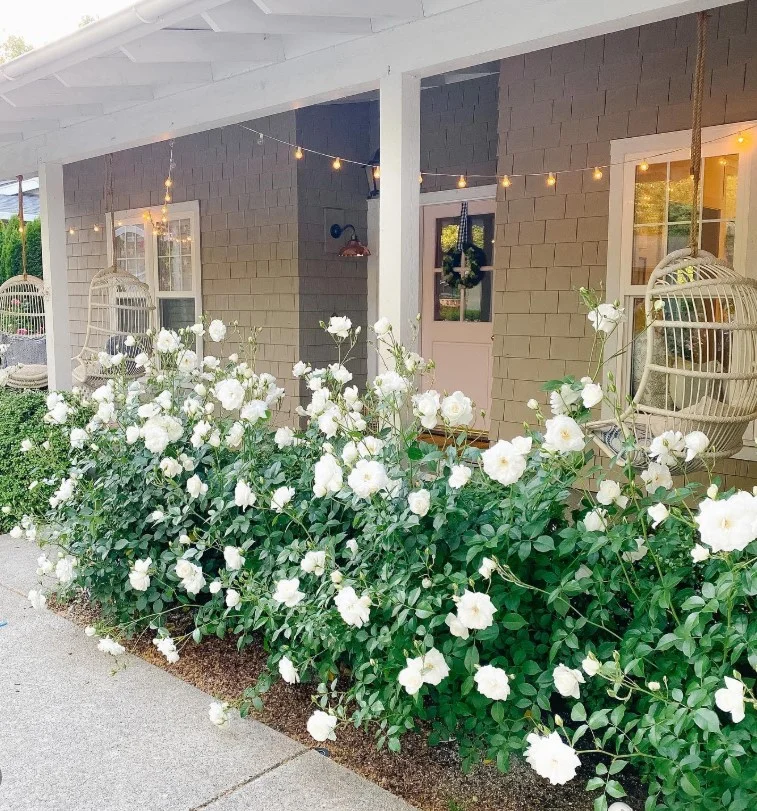 open front porch with string lights warm evening glow