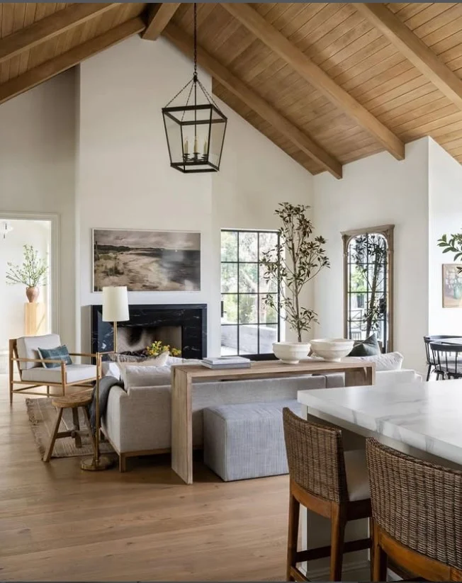 vaulted ceiling family room addition with natural sunlight